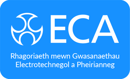 ECA Members visit Welsh Senedd